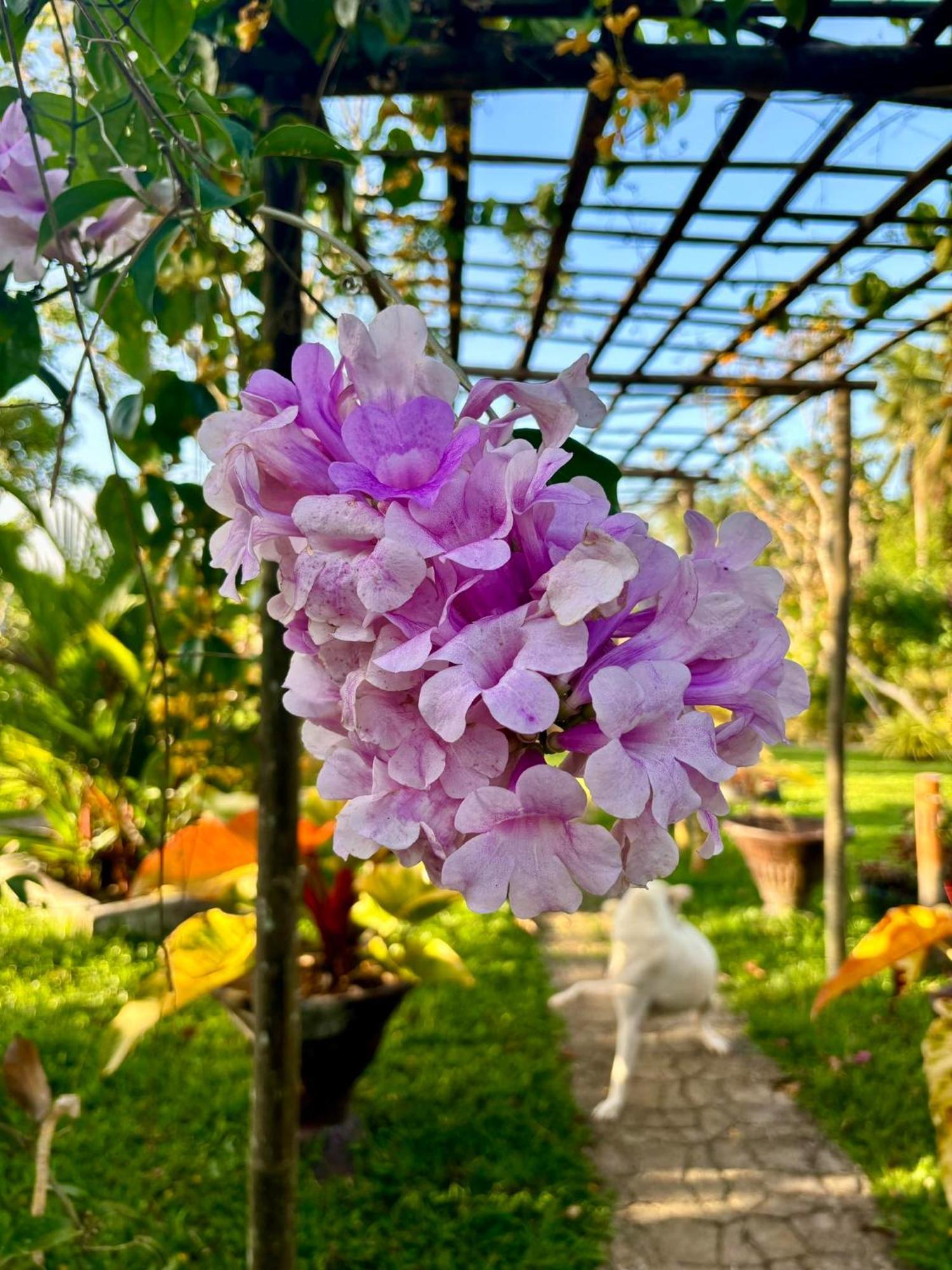 Camelo Farm Ξενοδοχείο Bilar Εξωτερικό φωτογραφία